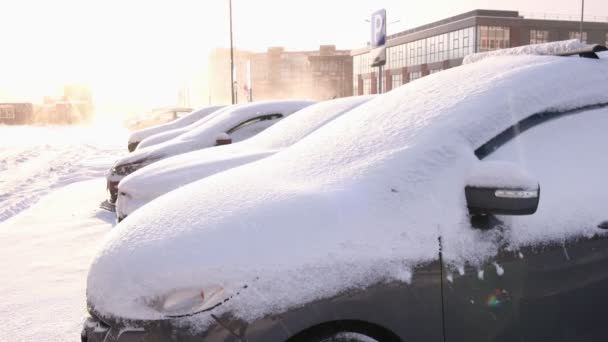 Widok zimowy samochodów na ulicy, zamieć śnieżna, silny śnieg — Wideo stockowe