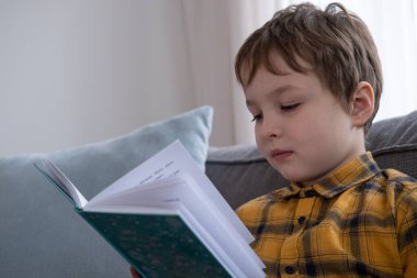 Kanepede oturan ve bir kitap okuma ufaklık