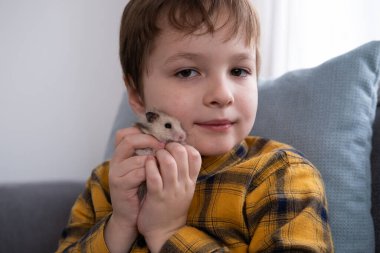 Küçük çocuk pofuduk, sevimli bir hamster tutuyor.