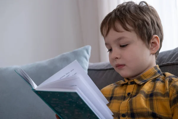 Kanepede oturan ve bir kitap okuma ufaklık