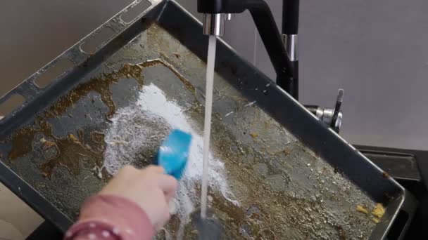 Egy gyerek lemossa a zsíros sütőlapot a konyhában. Segítség a szülőknek, koncepció — Stock videók
