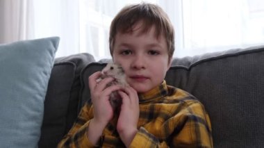 Küçük çocuk sevimli, tüylü bir hamster tutuyor.