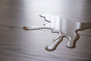 Ahşap zeminde lamine su birikintisi. Su geçirmez kaplama kavramı