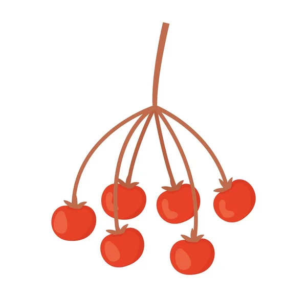 Red Rowan Berries Branch Autumn Harvest Concept Stock Vector Illustration — Vector de stock