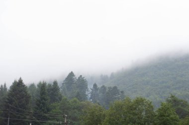 Yeşil kozalaklı ağaçlar arka plandaki ağaçlık dağlara karşı. Bulutlar en üste çıkar