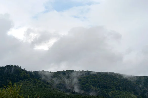 Gęste białe chmury nad górami pokryte zielonym lasem. zielone drzewa w małej białej mgle natury na zewnątrz. — Zdjęcie stockowe