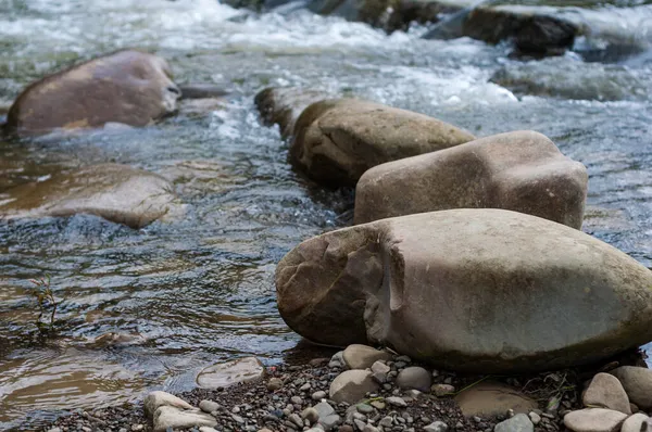 近くにストリーム渓流の近くに大規模な滑らかな石を ストリームをクリアクリスタルクリア水 — ストック写真