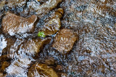Temiz, kristal berrak suyu olan sığ bir dağ deresi, kayaların üzerinden akan akarsu, yukarıdan görünen bir manzara.