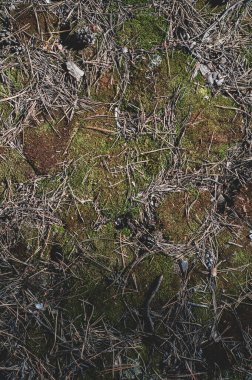 Gri granit taş, pürüzsüz, eski yüzey, doğal malzeme. Açık havada.