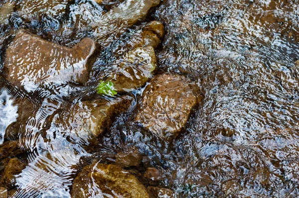 Temiz, kristal berrak suyu olan sığ bir dağ deresi, kayaların üzerinden akan akarsu, yukarıdan görünen bir manzara.