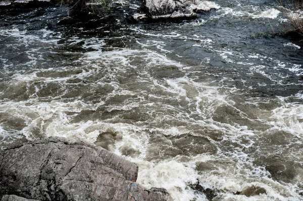 Ruisseau Montagne Écoulement Rapide Ruisseau Orageux Nature Extérieur Cours Eau — Photo