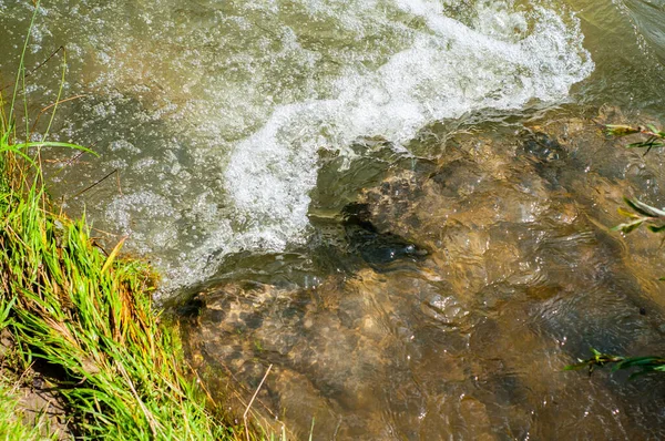 Snabb Strömmande Kallt Vatten Bergsbäck Strömmande Stormig Bäck Natur Utomhus — Stockfoto