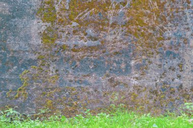 Yeşil yosun kaplamalı taş duvar, yakın plan, desenli arka plan. Duvarın dibinde genç yeşil çimenler