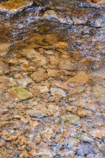 表面の水と底のストリームで滑らかな石の日グレア 岩の底 速い流れと川の透明水 自然が近くにある — ストック写真