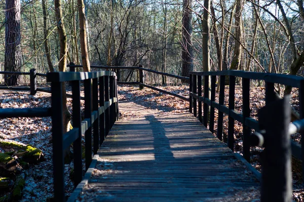 Wooden bridge in the forest close-up, early spring