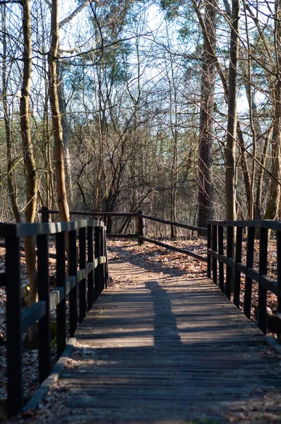 Drewniany Most Lesie Bliska Wczesną Wiosną — Zdjęcie stockowe