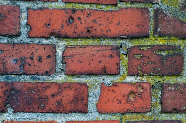 Brick wall in red color, old wall texture background with green moss