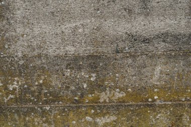 Yeşil küf ve yosunlu beton yüzey, eski ve kirli arka plan kaplaması, grunge dokusu.