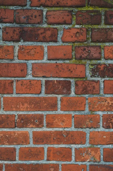 Brick wall in red color, old wall texture background with green moss