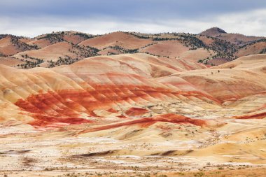 Oregon 'un doğusundaki Boyalı Tepeler, ABD