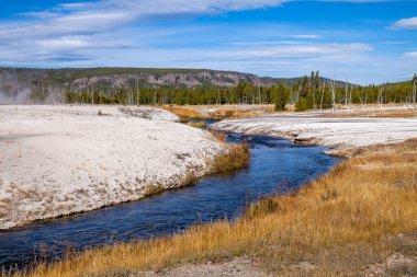 Siyah kum Havzası Yellowstone Milli Parkı'nda