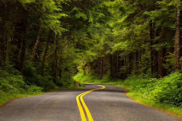Ο δρόμος προς το τροπικό δάσος Hoh στο Ολυμπιακό Εθνικό Πάρκο, Ουάσιγκτον — Φωτογραφία Αρχείου