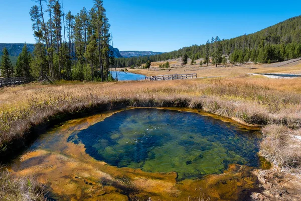 Termas geotérmicas en el Parque Nacional Yellowstone — Foto de Stock