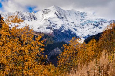 Columbia Icefield ve Bryce Brook Kanada Rocky Dağları 'nda