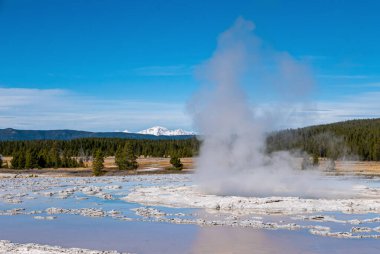 Yellowstone Ulusal Parkı 'nda jeotermal kaplıcalar