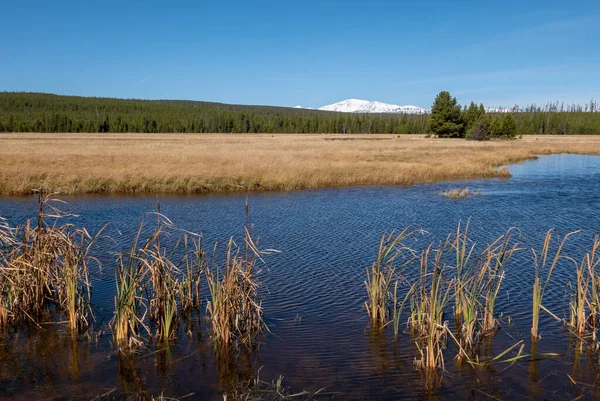 Un estanque salvaje en el Parque Nacional de Yellowstone — Foto de Stock