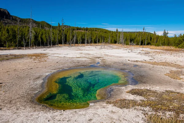 Termas geotérmicas en el Parque Nacional Yellowstone — Foto de Stock