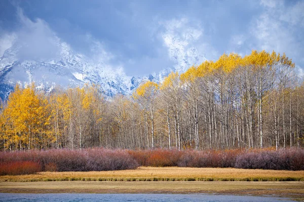 Осенние цвета в Национальном парке Гранд-Титон — стоковое фото