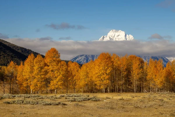 Colores otoñales en el Parque Nacional Grand Teton —  Fotos de Stock