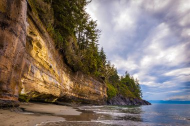 Mystic Beach, Juan de Fuca Provincial Park, Vancouver Adası, British Columbia, Kanada