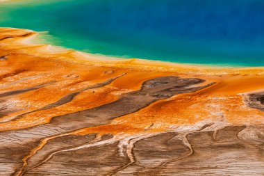Grand Prizmatik bahar Yellowstone Milli Parkı'nda