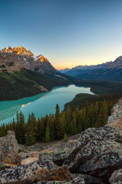 Peyto Lake i Banff National Park, Alberta vid soluppgången — Stockfoto