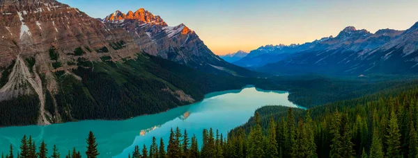 Lago Peyto em Banff National Park, Alberta ao nascer do sol — Fotografia de Stock