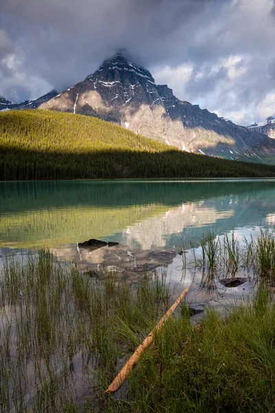 Reggeli fény a Chephren hegyen a Banff Nemzeti Parkban — Stock Fotó