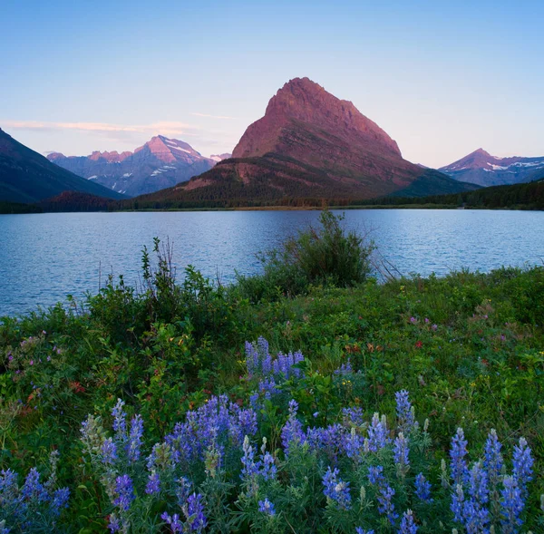Sunrise Over Grinnell Point and Swiftcurrent Lake, Glacier National Park, Montana — стоковое фото