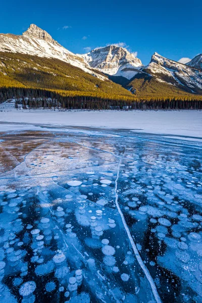 Ice bubbles on the Spray Lakes in Spray Valley Provincial Park, Alberta — 스톡 사진