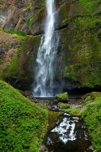 Die oberen Multnomah Falls in der Columbia River Gorge, Oregon, USA. — Stockfoto