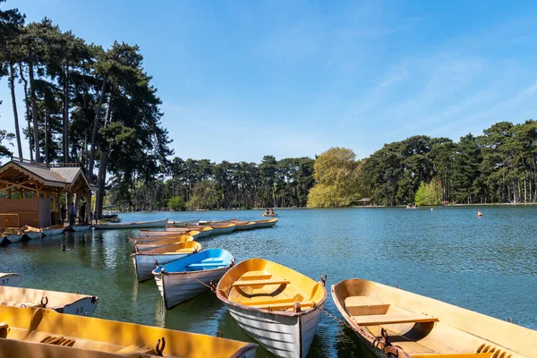 Parisians Boating Lower Lake Bois Boulogne Sunny Day April — Stock Photo, Image