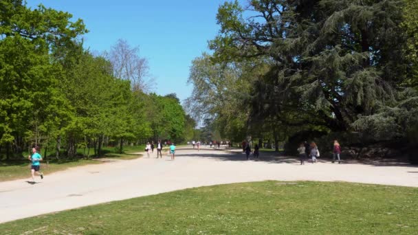 Parisinos caminando y trotando en el Bois de Boulogne - París, Francia — Vídeo de stock