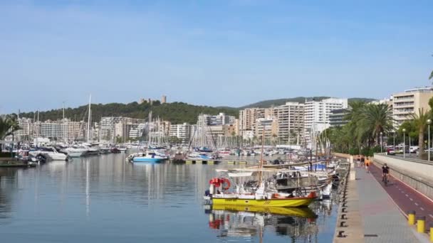Marina e Passeio em Palma de Maiorca, Espanha — Vídeo de Stock