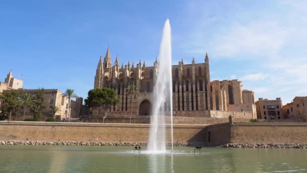 Sartén sobre Catedral y Palacio Real de Palma de Mallorca - España — Vídeo de stock