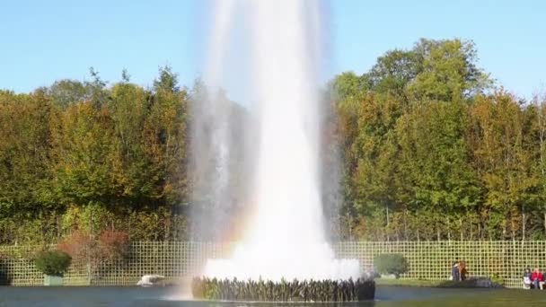 Obélisque dans les jardins du château de Versailles. — Video