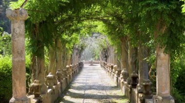 Tramuntana Dağı 'ndaki Alfabia bahçeleri ve doğa parkı - Bunyola, Mallorca, Balearic Adaları, İspanya