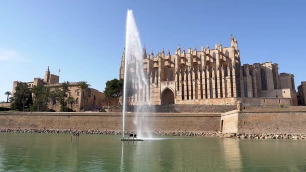 Parc Mar Katedrála Santa Maria Palma Mallorca Rybníkem Kašnou Popředí — Stock video