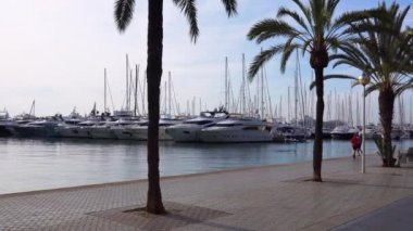 Palma de Mallorca, İspanya - 2021 09 13: İspanya 'nın Palma de Mallorca kentinde sabah erken saatlerde Paseo maritimo' da gezinen ve koşan turistler. Palmiye ağaçları ve arka planda lüks yatları olan Marina..