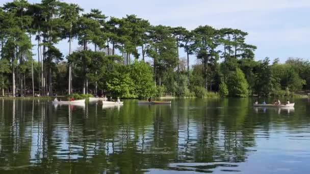 Paris France August 2022 Parisians Boating Lower Lake Bois Boulogne — Stock video